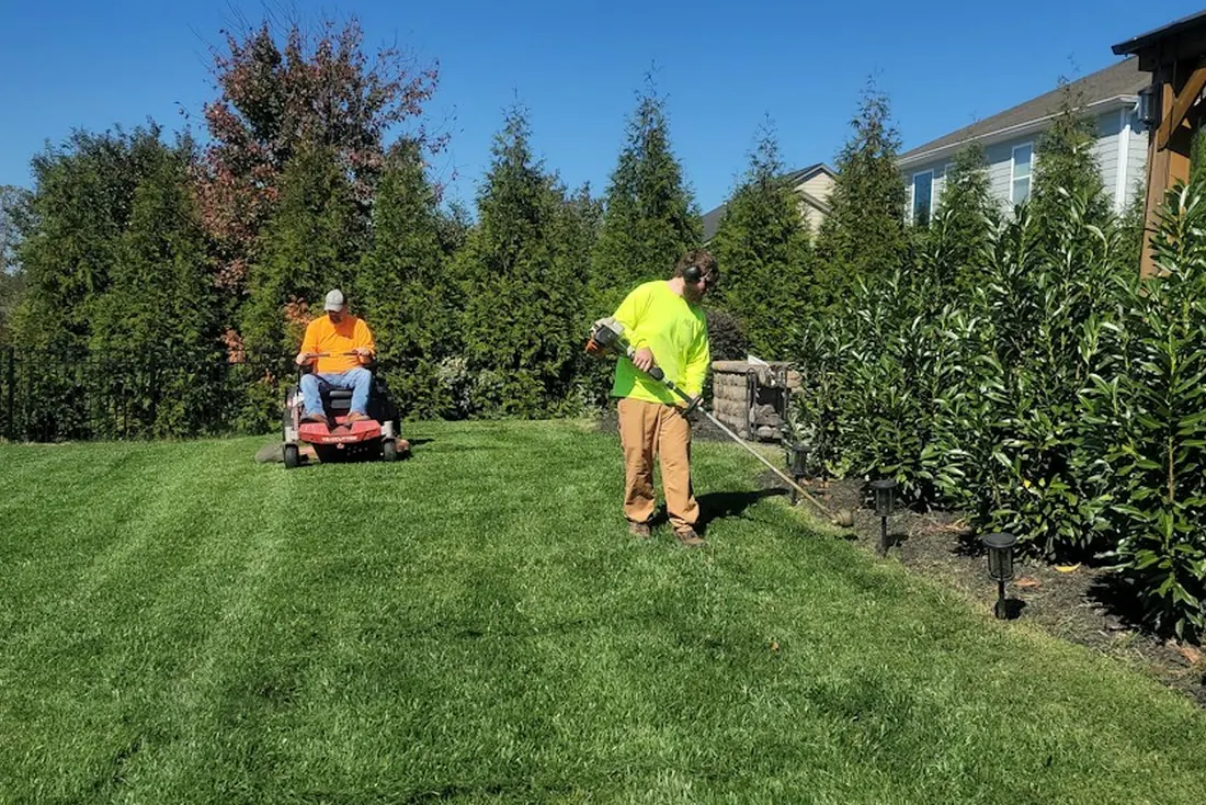 Lawn care in Kelowna, freshly cut green lawn with clean stripes